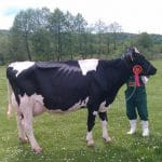 regina holstein o 1