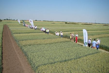 scoala se soiuri 2015 3 o 1