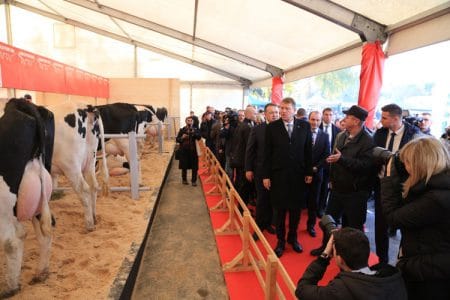 serban iohannis 2016 o