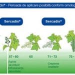 sercadis aplicare vie o o