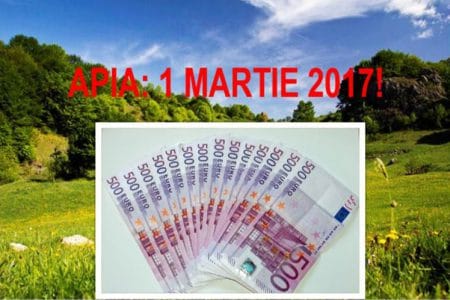 sesiune primire cereri o