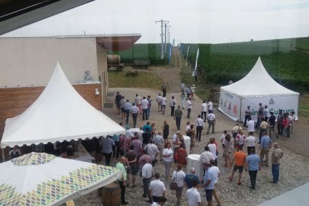 simplicultura adama lacerta o 1