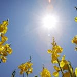 soare februarie o
