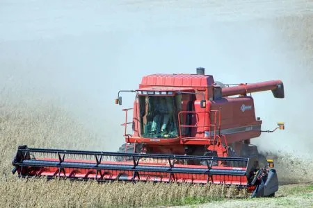 soia recolta o 1