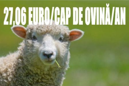 sprijin cuplat ovine o