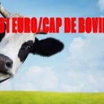 sprijin taurine carne o