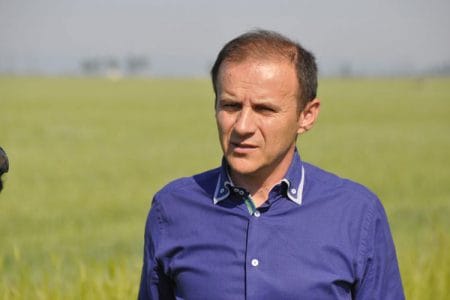 stroescu cornel o