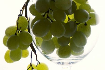 strugure alb in paharul de vin o 1