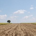 sua teren agricol o 1