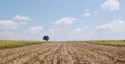 sua teren agricol o 1