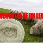 subventia de un leu o