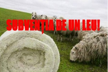 subventia de un leu o