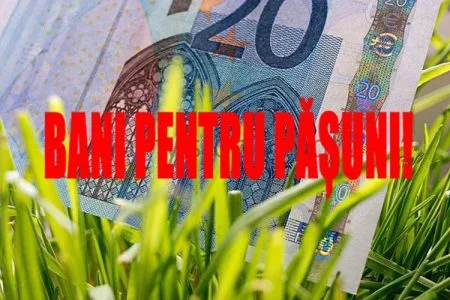 subventie pajiste o