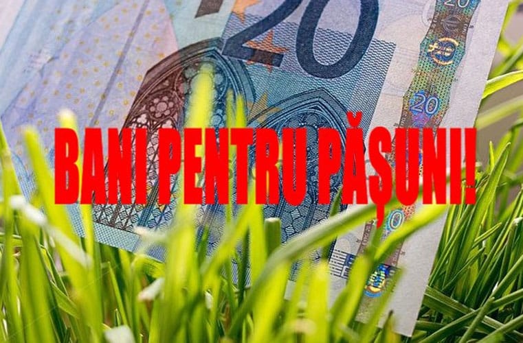 subventie pajiste o