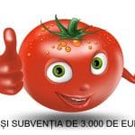 subventie tomate o
