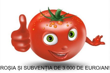 subventie tomate o
