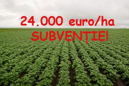 subventie uriasa vegetal o 1