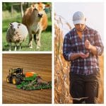 subventii animale teren o