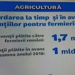 subventii bilant o