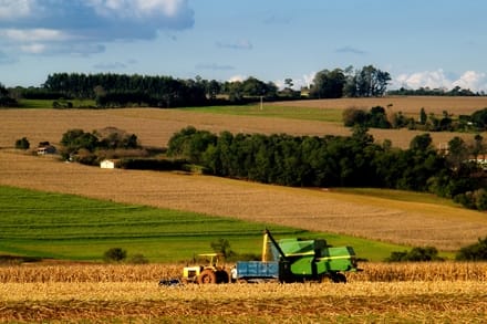 suprafata agricola o 1