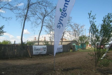 syngenta livada o 1