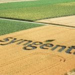 syngenta logo o 3