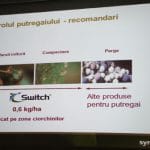 syngenta switch o 1