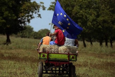 tarani cu steag ue o