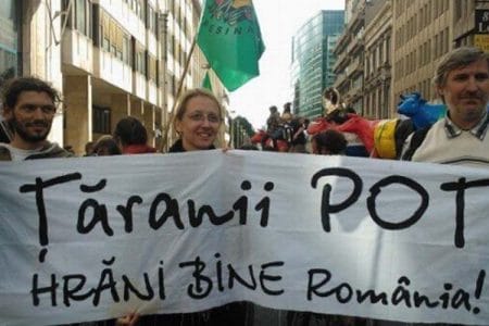 taranii pot hrani o