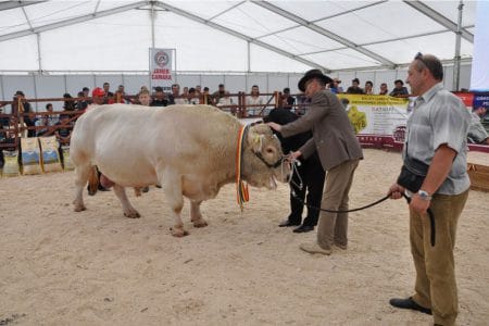 taur concurs o