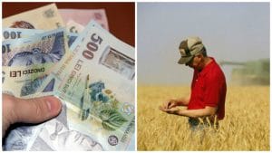 Ordonanța de Urgență pregătită de Guvern! Noile măsuri care vizează și fermierii!