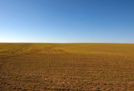 teren agricol nou o 1