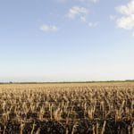 teren agricol1 o 1