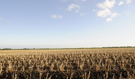 teren agricol1 o 1