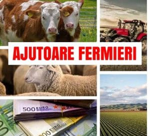 Ministrul agriculturii: Ferma mică ajutor 50.000 euro/fermă!