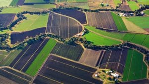 Terenurile agricole din România sunt mai bune decât cele din Franța 1 terenuri de sus o