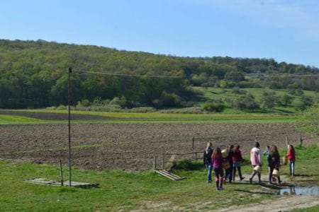 tineri in agricultura o