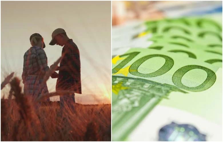 tineri si mici fermieri o