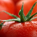 tomate proaspete o