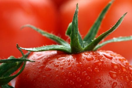 tomate proaspete o