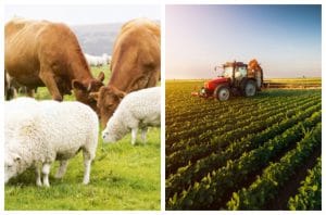 Raport evaluare politica agricolă!