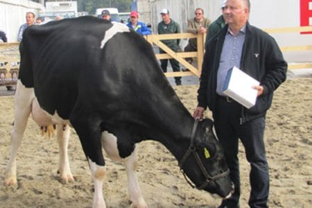 tuchilus cooperativa o 1