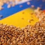 ucraina grau o