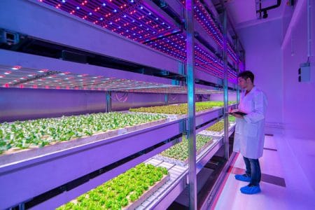 urbanizarea agriculturii o