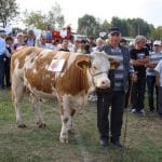 vaca premiata bacia o 1