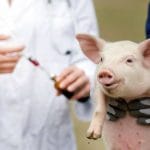 vaccin ppa o 2