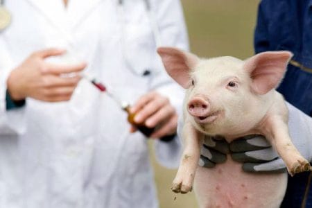 vaccin ppa o 2