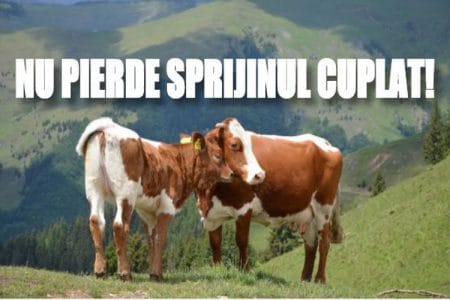 vaci cuplat o