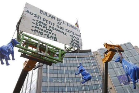 vaci spanzurate bruxelles o