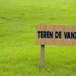 vanzare teren o 1